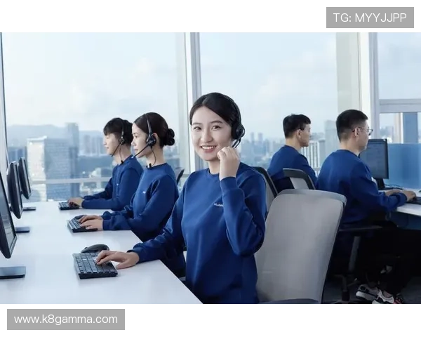 凯发官方手机版的客服支持体系，全天候为用户提供专业服务